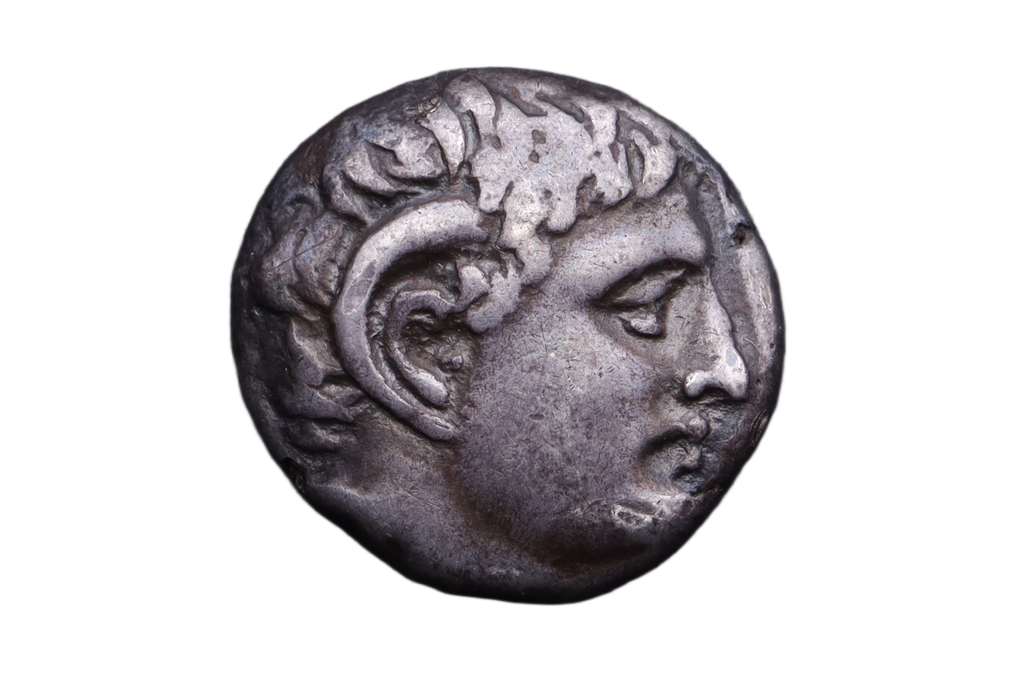 Kyrene Didrachm