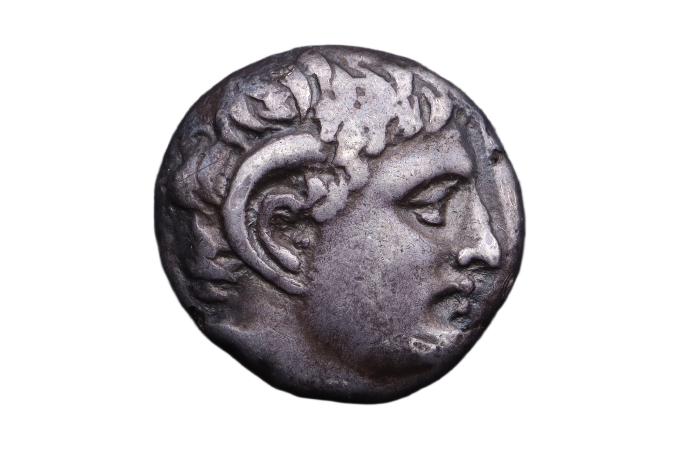 Kyrene Didrachm
