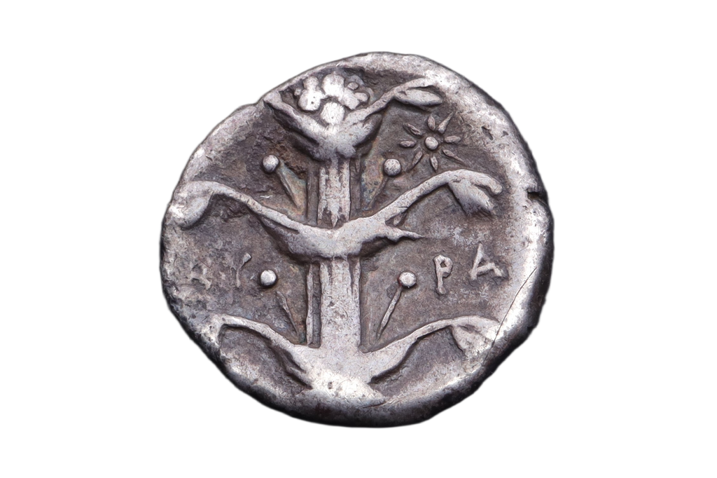 Kyrene Didrachm