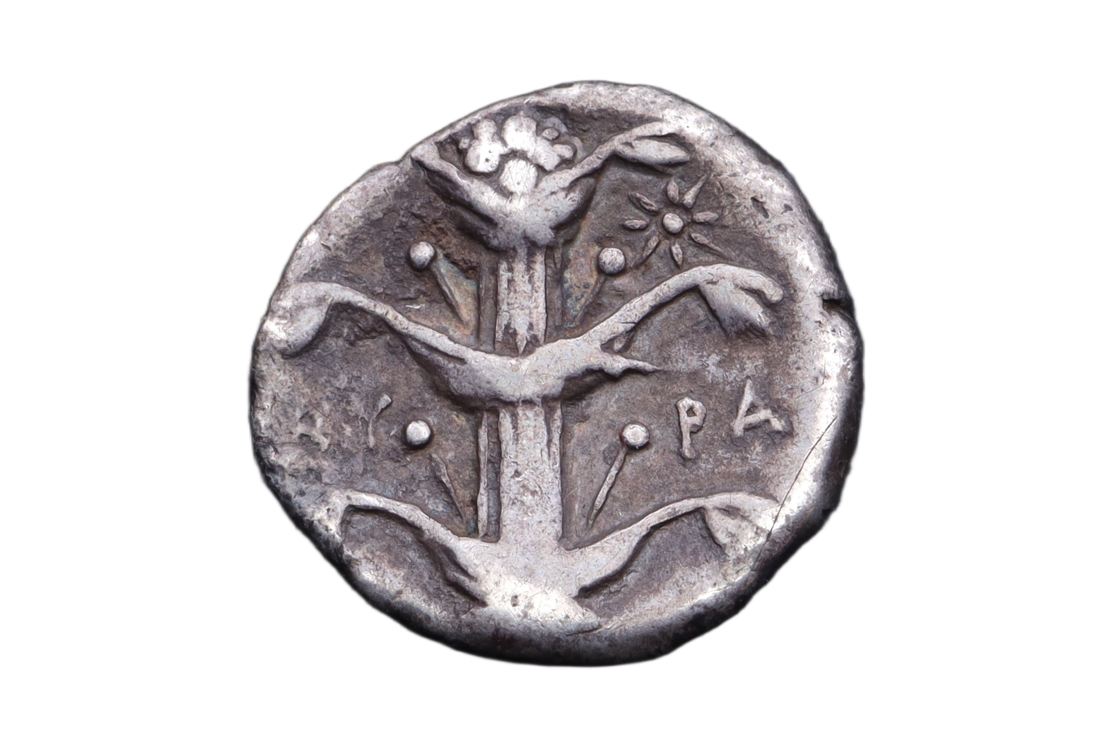 Kyrene Didrachm